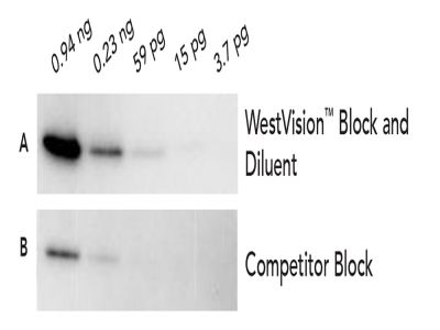 WestVision™ Peroxidase Polymer, Anti-Mouse IgG (Western Blot Detection)