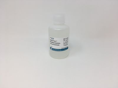10x Casein Solution