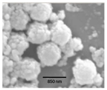 NanoLINK® Streptavidin Magnetic Beads (1.0 µm)
