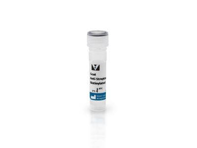 Streptavidin, CY®5