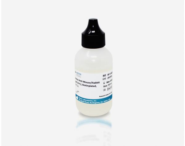Horse Anti-Mouse/Rabbit IgG Antibody (H+L) (Universal), Biotinylated, R.T.U.