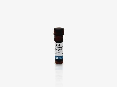 Horse Anti-Mouse/Rabbit IgG Antibody (H+L) (Universal), Biotinylated, R.T.U.