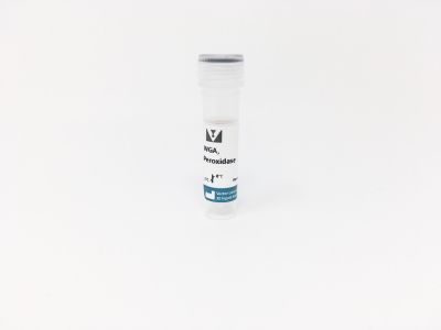 Wheat Germ Agglutinin (WGA), Unconjugated