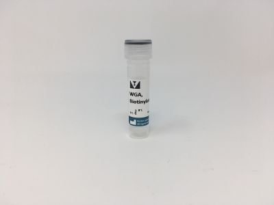 Wheat Germ Agglutinin (WGA), Unconjugated