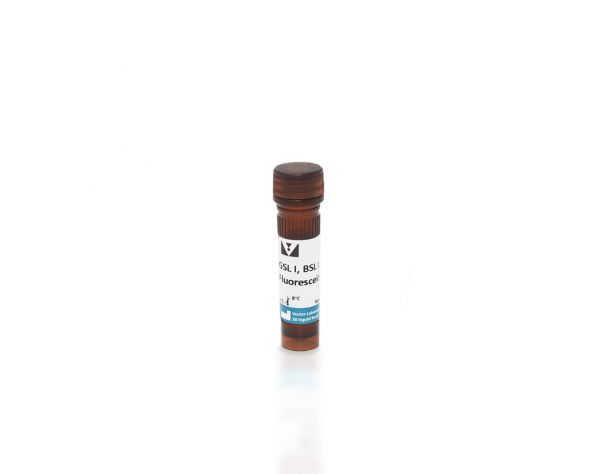Griffonia (Bandeiraea) Simplicifolia Lectin I (GSL I, BSL I), Fluorescein