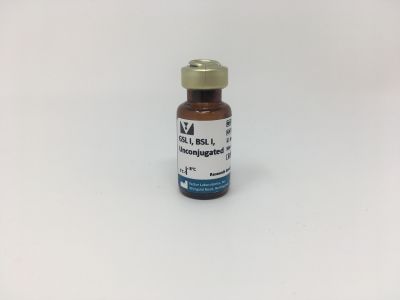 Griffonia (Bandeiraea) Simplicifolia Lectin I (GSL I, BSL I), Fluorescein