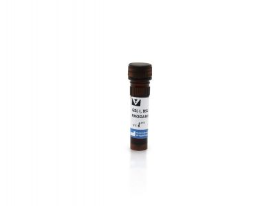Griffonia (Bandeiraea) Simplicifolia Lectin I (GSL I, BSL I), Fluorescein
