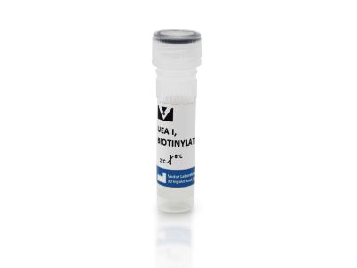 Ulex Europaeus Agglutinin I (UEA I), DyLight® 649