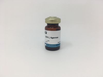 Ulex Europaeus Agglutinin I (UEA I), DyLight® 649