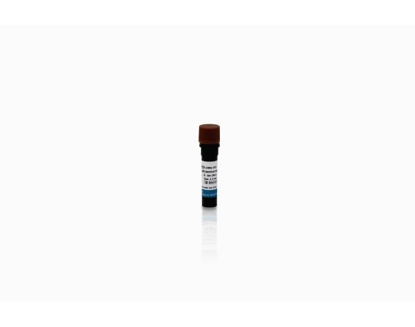 TurboLINK™ Catalyst Buffer (10X)
