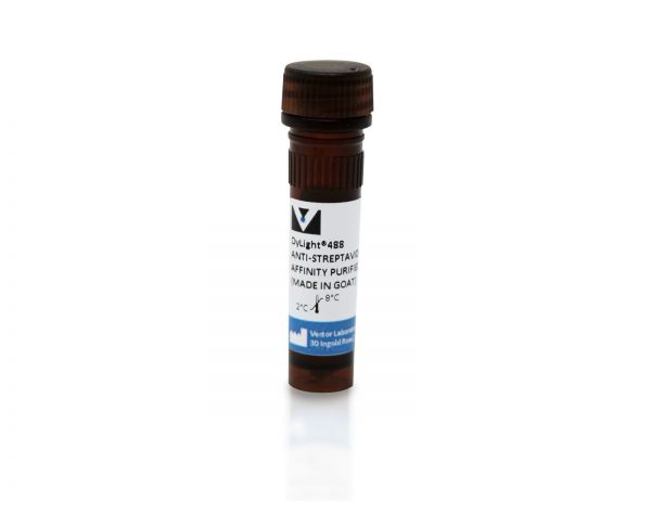 Anti-Streptavidin Antibody, DyLight® 488