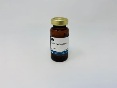 Wheat Germ Agglutinin (WGA), Fluorescein
