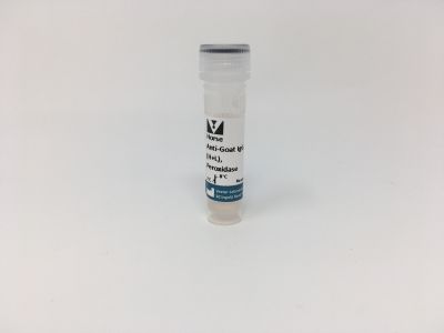 H.O.H.™ (Human on Human) Immunodetection Kit