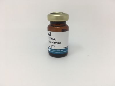 Concanavalin A (Con A), Fluorescein