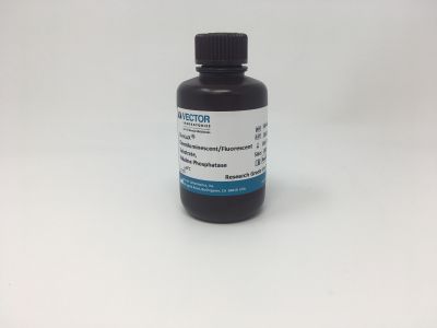 Alkaline Phosphatase Avidin D