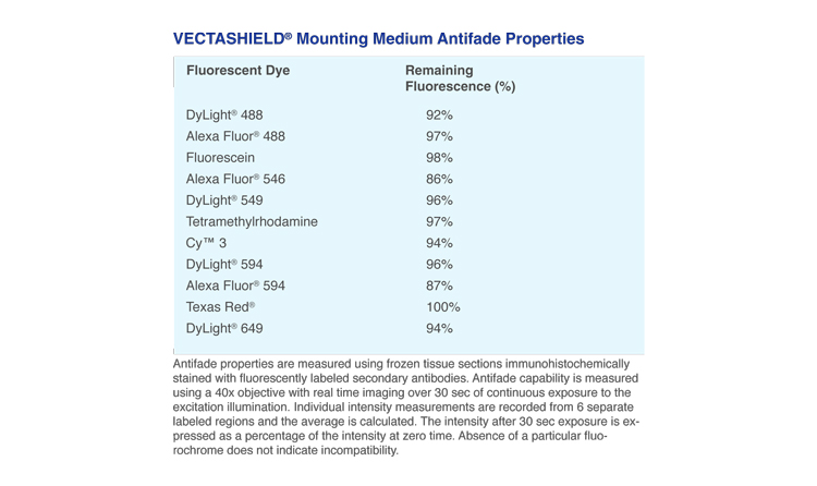 VECTASHIELD® Antifade Mounting Medium