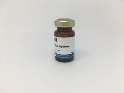 Soybean Agglutinin (SBA), Fluorescein