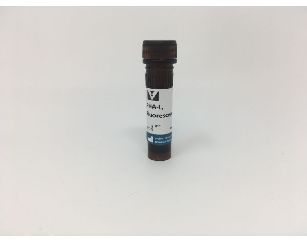 Phaseolus Vulgaris Leucoagglutinin (PHA-L), Fluorescein