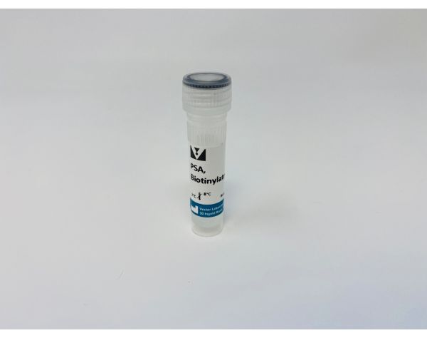Pisum Sativum Agglutinin (PSA), Biotinylated