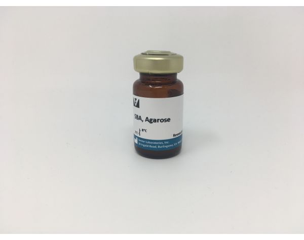 Soybean Agglutinin (SBA), Agarose bound