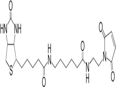 3' EndTag DNA End Labeling System