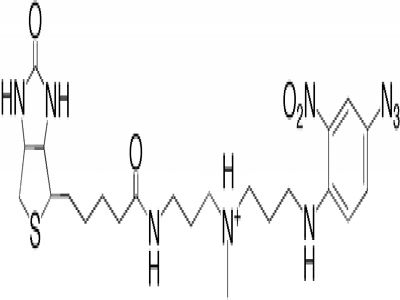 3' EndTag DNA End Labeling System