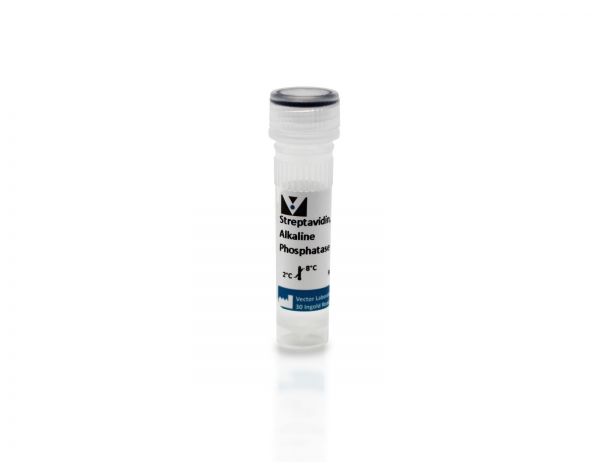 Streptavidin, Alkaline Phosphatase