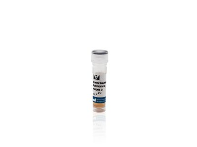 Streptavidin, Peroxidase, ELISA Grade (Concentrate, for ELISAs and Blots)