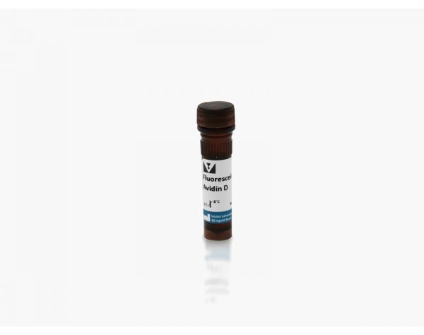 Fluorescein Avidin D, FITC