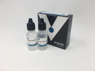 Fluorescein Avidin D, FITC