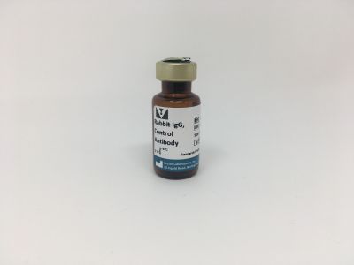 Rat IgG, Control Antibody