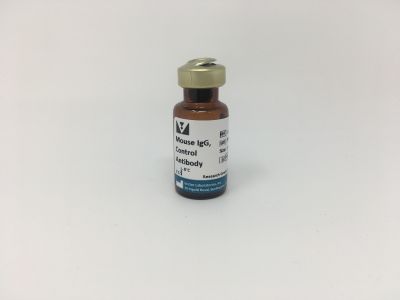 Rabbit IgG, Control Antibody