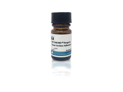 Rabbit IgG, Control Antibody