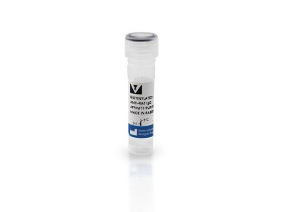 VECTASTAIN® ABC-AP Kit, Alkaline Phosphatase (Rat IgG)