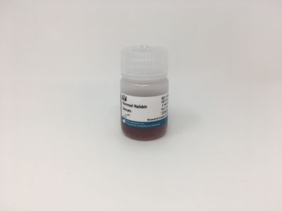 VECTASTAIN® ABC-AP Kit, Alkaline Phosphatase (Rat IgG)