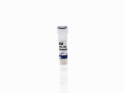 Sambucus Nigra Lectin (SNA, EBL), Unconjugated