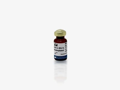 N-acetylglucosamine