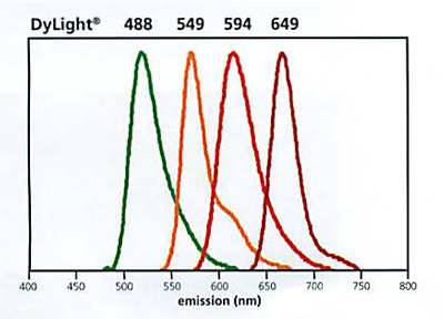 Horse Anti-Goat IgG Antibody (H+L), DyLight® 594