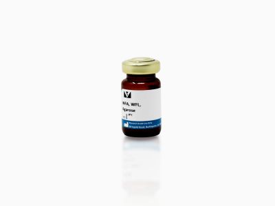 Wisteria Floribunda Lectin (WFA, WFL), Fluorescein