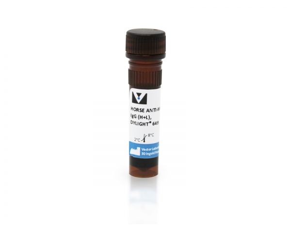 Horse Anti-Mouse IgG Antibody (H+L), DyLight® 649