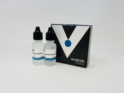 VECTASTAIN® Universal Quick HRP Kit, Peroxidase, R.T.U.