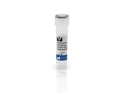 VECTASTAIN® ABC-HRP Kit, Peroxidase (Rat IgG)