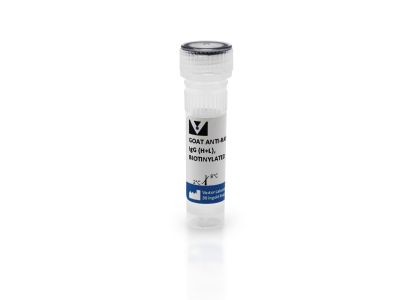 VECTASTAIN® ABC-AmP Reagent (Standard, Western Blot Detection)