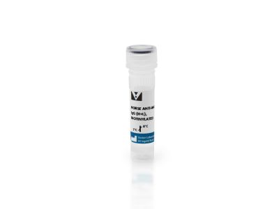 VECTASTAIN® ABC-AmP Reagent (Standard, Western Blot Detection)